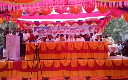 শার্শার নিজামপুরে বিএনপির বিশাল জনসভা অনুষ্ঠিত