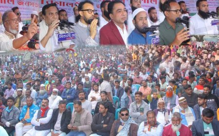 শার্শার উলাশী ইউনিয়নে বিএনপি'র "বিশাল জনসভায় জনসমুদ্রে পরিণত