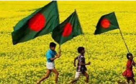 শুরু হলো বিজয় আর গৌরবের মাস ডিসেম্বর