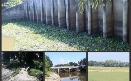 চলনবিলের দক্ষিণ পাড়ে কিনু সরকারের জোলার  স্লুইসগেট আবর্জনার স্তুপ-পানি নিস্কাশনের ধীর গতি- রবি ফসল চাষে বিলম্বের আশঙ্কা