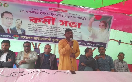 জাতীয়তাবাদী যুবদল কলকলিয়া ইউনিয়ন শাখার ১,২ ও ৩ নং ওয়ার্ডের কর্মী সভা অনুষ্ঠিত