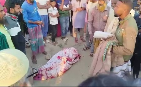 সিংড়ায় বাস চাপায় ভ্যান চালকের মৃ*ত্যু!