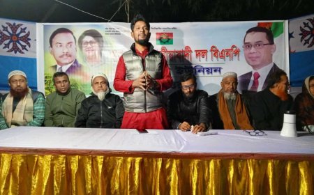 বগুড়া সদরের নিশিন্দারা ৩ নং ওয়ার্ড বিএনপির কর্মী সভা