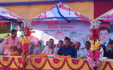 নাসিরনগরে বিএনপির বিশাল জনসভা