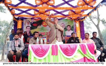মহান বিজয় দিবস উপলক্ষে আশাশুনিতে উপজেলা বিএনপির বিজয় র্যালী ও পথসভা অনুষ্ঠিত