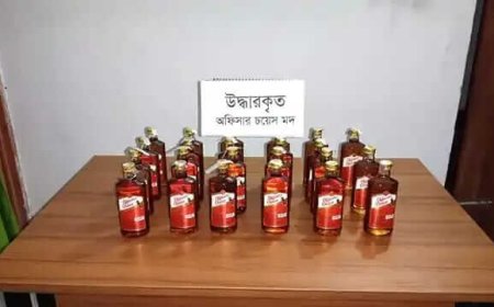 সাতক্ষীরায় ভারতীয় ১২ বোতল মদ জব্দ