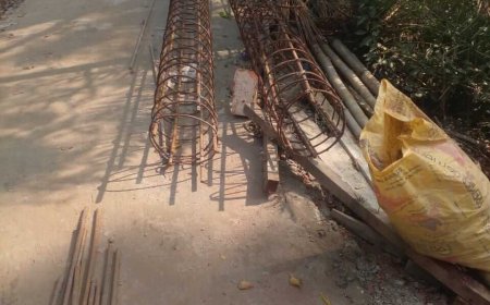 খুলনা সাতক্ষীরা রেঞ্জের সুন্দরবনে ভবন নির্মাণে চরম দুর্নীতির অভিযোগ