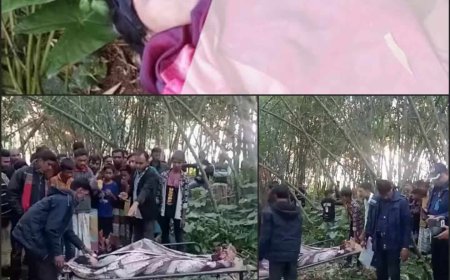 কিশোরীর ম*রদেহ উদ্ধার আটঘড়িয়ায় বাঁশঝাড় থেকে এলাকায় শোক ও আতঙ্ক