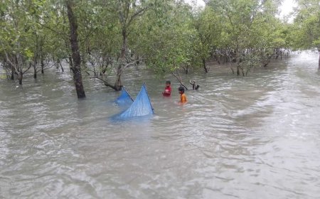 শ্যামনগরে জীবিকার সন্ধানে নারীদের জীবন সংগ্রাম
