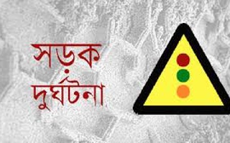ভূরুঙ্গামারীতে ভটভটি উল্টে চালকের মৃ*ত্যু