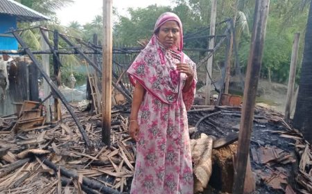 আশাশুনির প্রতাপনগরে অগ্নিকাণ্ডে দুটি ঘর ভস্মীভূত, দুই লক্ষাধিক টাকার ক্ষয়ক্ষতি