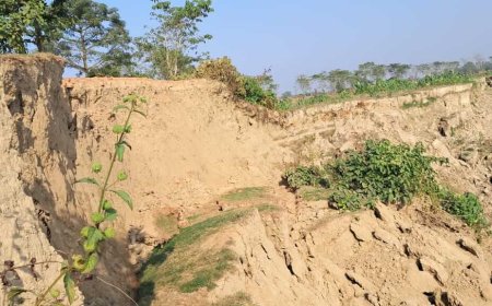 জগন্নাথপুরে পুরাতন বাঁধ কেটে চলছে ২৭নং ফসল রক্ষা বাঁধের কাজ