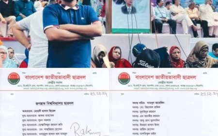 জগন্নাথ বিশ্ববিদ্যালয়ে ছাত্রদলের আহ্বায়ক কমিটিতে সদস্য হলেন তানভীর