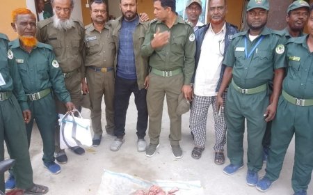 শ্যামনগরের গাবুরায় ফ্রিজ থেকে ৩ কেজি হরিণের মাংস উদ্ধার