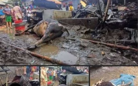 পাবনার ফরিদপুরে অগ্নিকাণ্ডে সবকিছু ভস্মীভূত: মানবেতর জীবনযাপন করছেন মো. বাহাদুর আলী