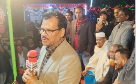 বিএনপি উন্নয়ন ও উৎপাদনের রাজনীতিতে বিশ্বাসী: সাবেক এমপি হাবিব