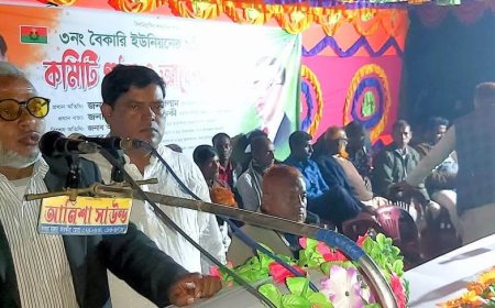 সাতক্ষীরার বৈকারি ইউনিয়ন বিএনপির কমিটি গঠন ও আলোচনা সভা অনুষ্ঠিত