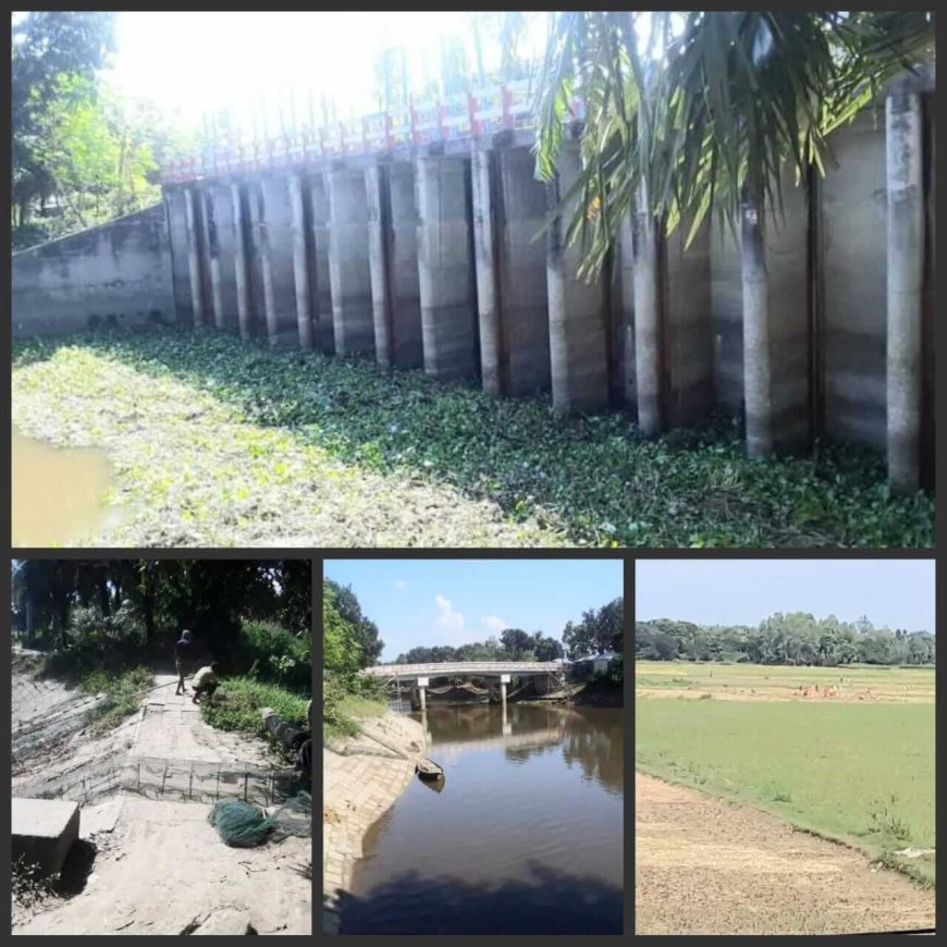 চলনবিলের দক্ষিণ পাড়ে কিনু সরকারের জোলার  স্লুইসগেট আবর্জনার স্তুপ-পানি নিস্কাশনের ধীর গতি- রবি ফসল চাষে বিলম্বের আশঙ্কা