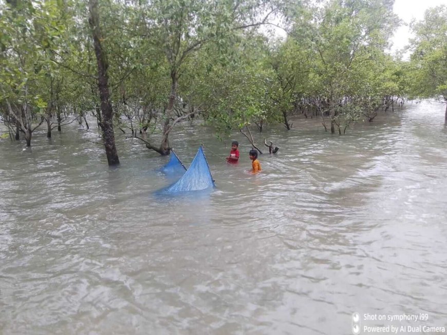 শ্যামনগরে জীবিকার সন্ধানে নারীদের জীবন সংগ্রাম