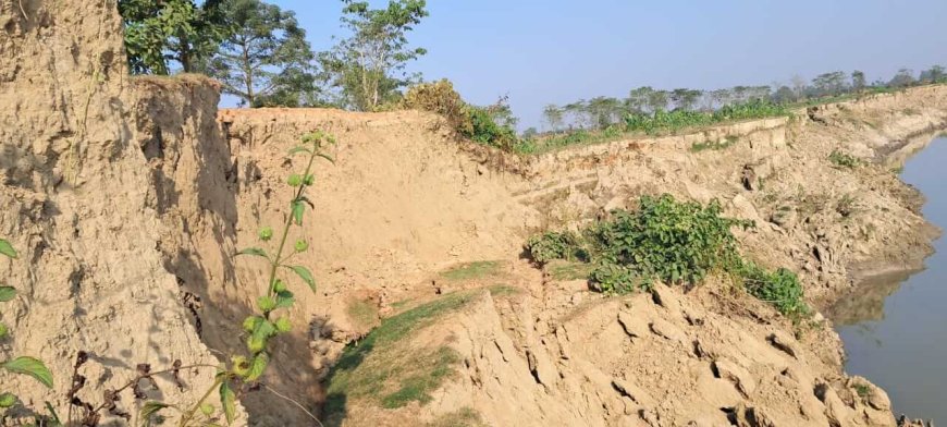 জগন্নাথপুরে পুরাতন বাঁধ কেটে চলছে ২৭নং ফসল রক্ষা বাঁধের কাজ