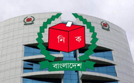 কিশোরগঞ্জ-৩ আসনে বিএনপির মনোনয়ন পেতে তৎপরতা শুরু