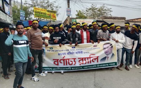 আশাশুনিতে বর্ণাঢ্য আয়োজনে ছাত্রদলের প্রতিষ্ঠাবার্ষিকী উদযাপন
