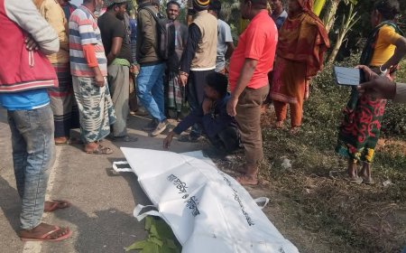 সাতক্ষীরায় ত্রিশমাইলে পরিবহনের ধাক্কায় ভ্যান চালক নি*হত