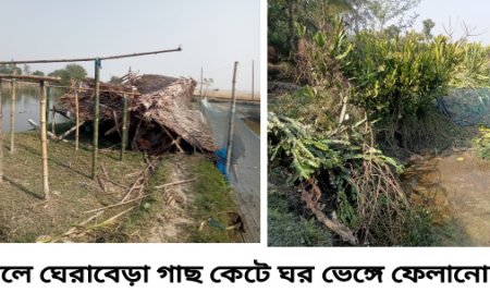 আশাশুনির বড়দলে ঘেরের জমিতে জবর দখলের চেষ্টার অভিযোগ