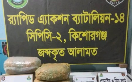 কিশোরগঞ্জে ১০ কেজি ৪০০ গ্রাম গাঁজাসহ নারী মাদক ব্যবসায়ী গ্রেফতার