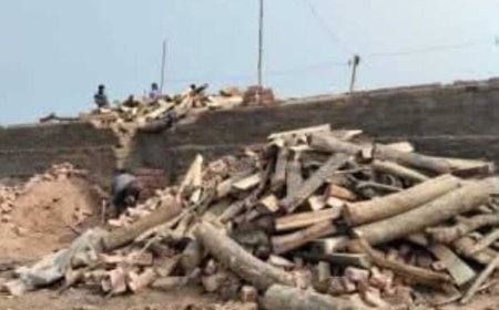 পরিবেশ অধিদপ্তরের ছাড়পত্র ছাড়াই মেসার্স এ কে এস ব্রিকসে কাঠ ও টায়ার জ্বালিয়ে ইট পোড়ানো