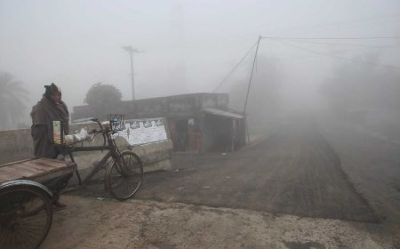 কুয়াশা ও শীতে বিপর্যস্ত খুলনার কয়রার উপকূলীয় জনজীবন