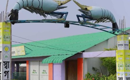সাতক্ষীরায় নান্দনিক রূপসী ম্যানগ্রোভ: শীতের উষ্ণতায় নতুন রূপে সজ্জিত