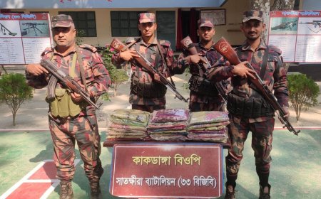 সাতক্ষীরায় বিজিবি’র অভিযানে মাদক ও চোরাচালানী মালামাল জব্দ, মূল্য ১০ লক্ষাধিক