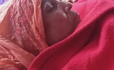 শ্যামনগর উপজেলা প্রতিনিধি এম মনিরুল ইসলামের মায়ের সফল অস্ত্রোপচার, সুস্থতার জন্য দোয়া চেয়েছে পরিবার