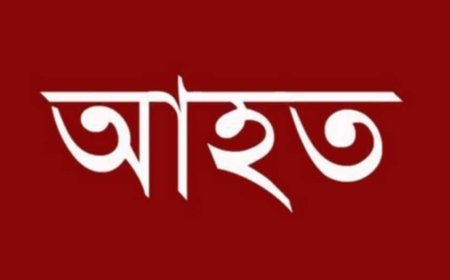 নওগাঁর আত্রাইয়ে শেয়ালের কামড়ে নারী-শিশুসহ ৩ জন আহত, গ্রামে আতঙ্ক