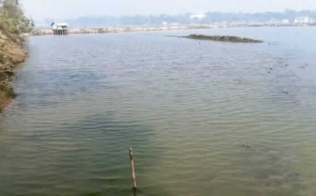 আশাশুনির কালকী স্লুইস গেট সমস্যার সমাধানে কার্যকর পদক্ষেপ নেয়ার আশ্বাস --- মুহাদ্দিস রবিউল বাশার