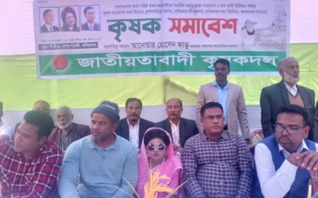 নাসিরনগরে কৃষকদলের কৃষক সমাবেশ অনুষ্ঠিত