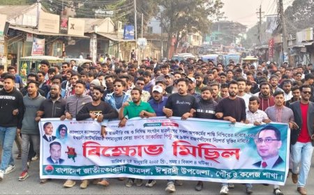 ঈশ্বরদীতে ছাত্রদলের বিক্ষোভ মিছিল: গুপ্ত রাজনীতি বন্ধ ও ছাত্রলীগের অপকর্মের শাস্তির দাবি
