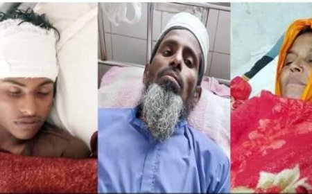 মাছ চুরির ঘটনাকে কেন্দ্র করে শিবির কর্মীসহ একই পরিবারের ৩ জন আ*হত