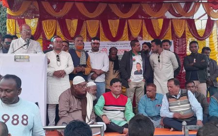 কুলিয়ায় বিএনপির আয়োজনে বিশাল কর্মী সমাবেশ