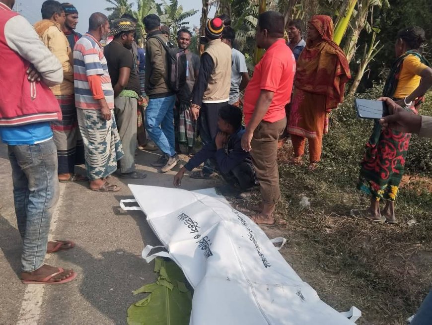 সাতক্ষীরায় ত্রিশমাইলে পরিবহনের ধাক্কায় ভ্যান চালক নি*হত