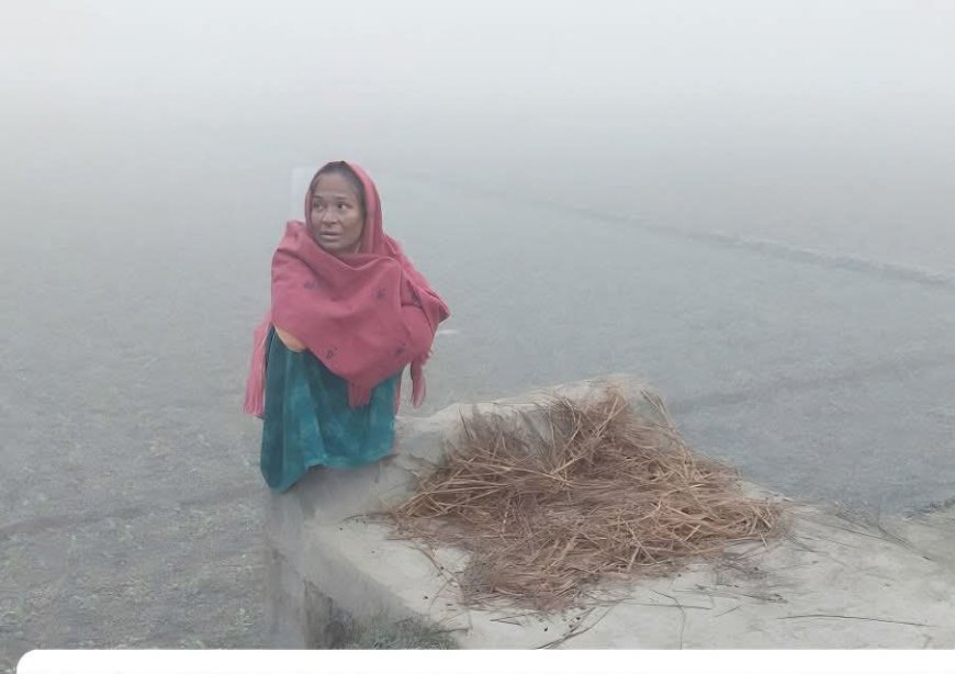 কনকনে শীতে কাঁপছে নাগেশ্বরী: কৃষিতে ক্ষতির শঙ্কা