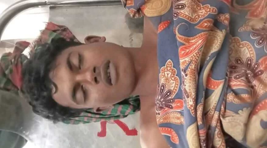 সাতক্ষীরায় ঘেরের ভেড়িবাঁধে সবজি চাষ করতে গিয়ে বিদ্যুৎস্পৃষ্ট হয়ে যুবকের মৃ*ত্যু