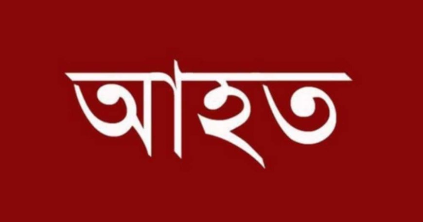 নওগাঁর আত্রাইয়ে শেয়ালের কামড়ে নারী-শিশুসহ ৩ জন আহত, গ্রামে আতঙ্ক