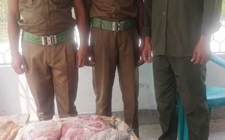 কয়রায় বন বিভাগের অভিযানে ৯০ কেজি হরিণের মাংস জব্দ
