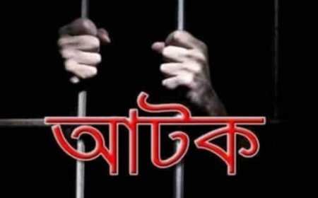 নওগাঁর মান্দায় জমি সংক্রান্ত সালিসে মারধর, আহত ৩ – আটক ২